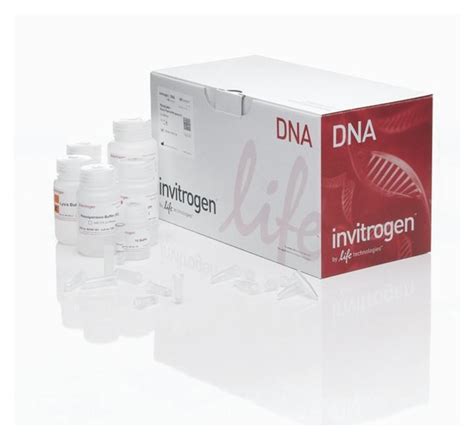 pure link rna mini kit|purelink quick plasmid miniprep kit.
